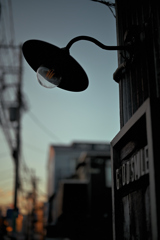 NZF_0092