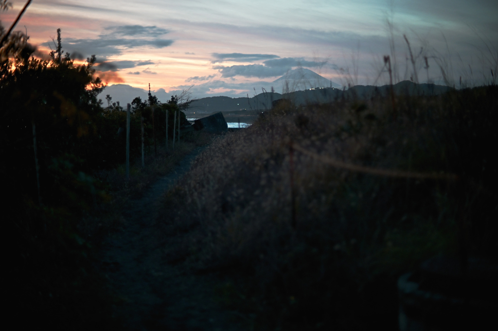 Z6Z_0523