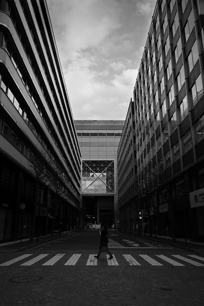 NZF_1628