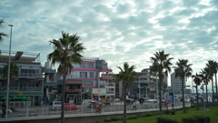 NZF_9798