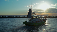 NZF_9920