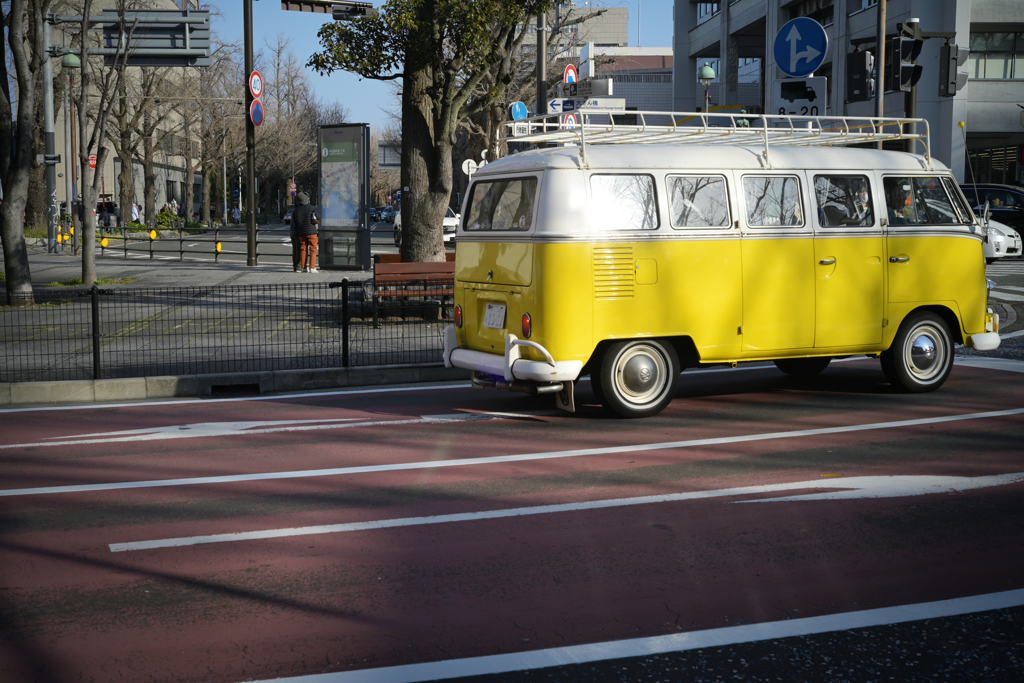 NZF_5859