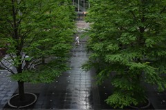 Z50_3381