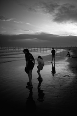 NZF_7793
