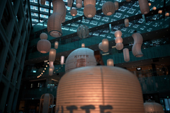 ANZ_9722