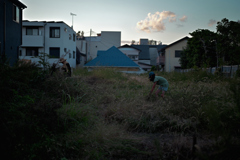 NZF_0083