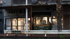 NZF_1147