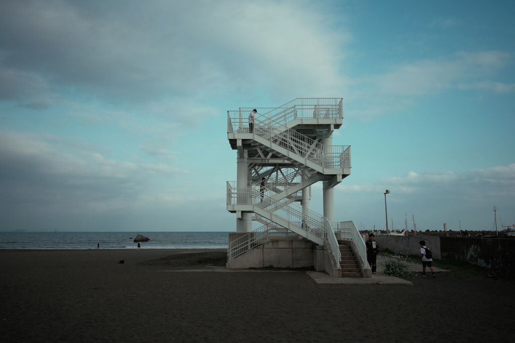 NZF_5994