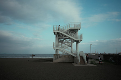 NZF_5994