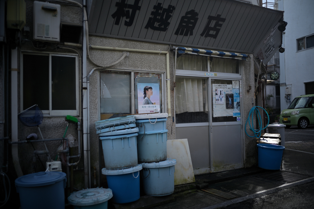 NZF_6397