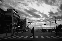 NZF_0160