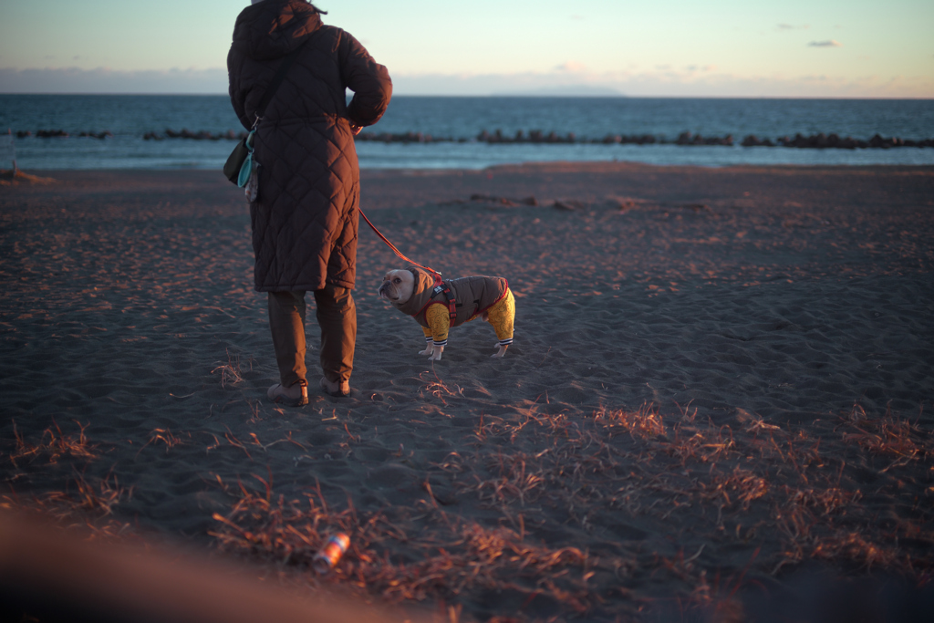 NZF_3470_260103_1049