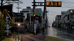 NZF_1189