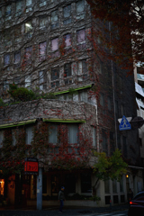 NZF_0708