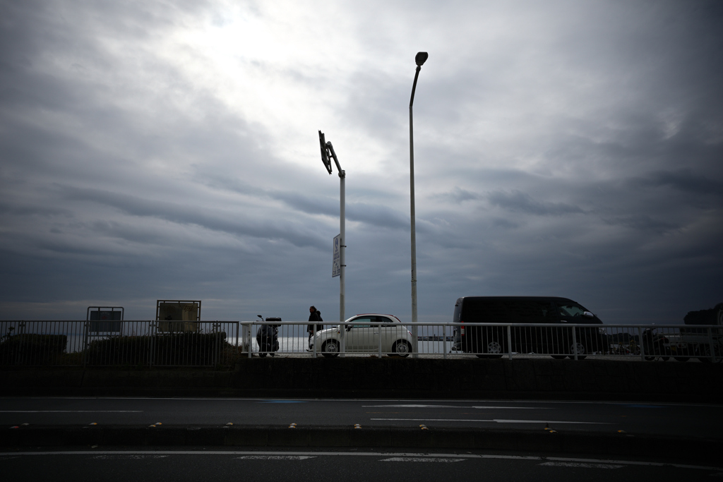 NZF_2784