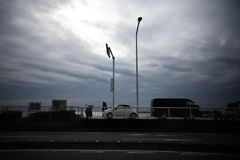 NZF_2784