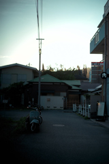 ANZ_8771