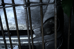ANZ_7971