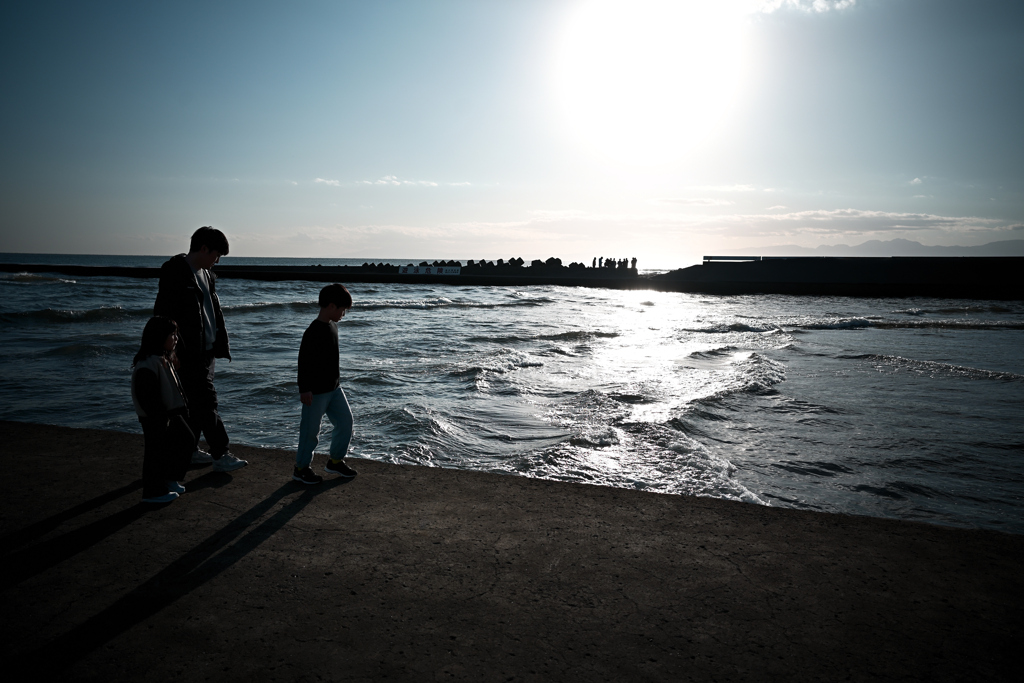 NZF_3491