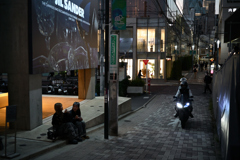 NZF_9582