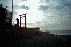 NZF_2299