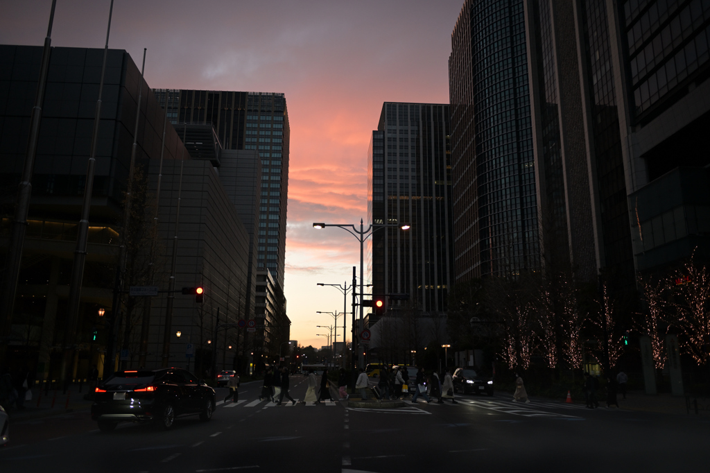 NZF_1705