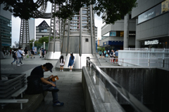 NZF_9173