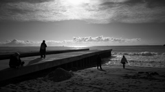 NZF_1544