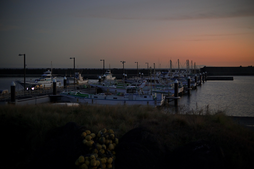 Z6Z_0520