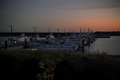 Z6Z_0520