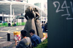 ANZ_8921