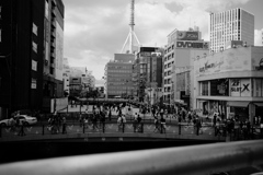 XT1F6603