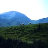 mountain scenery in Wales #2