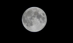 満月の夜に