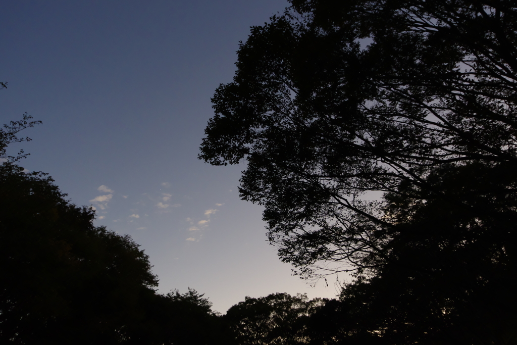 夕暮れ