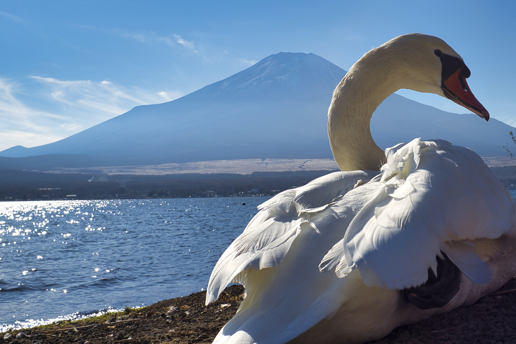 見返り美人(富士山を添えて)