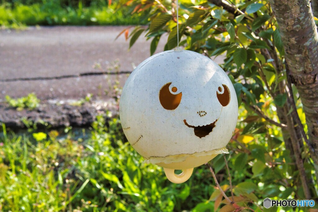 なんかかわいいの飾ってあった