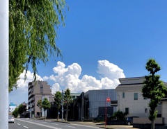 初夏の兆し
