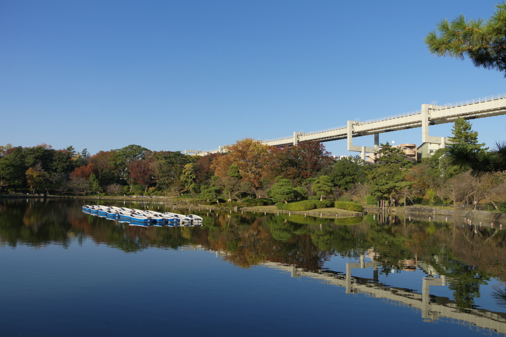 公園を散歩1