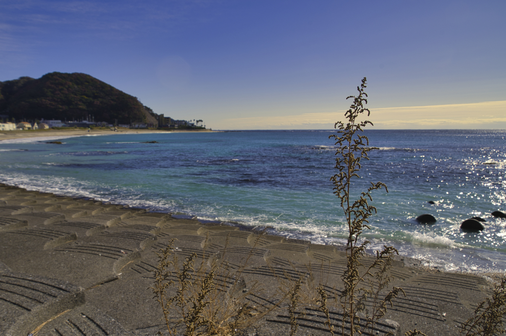 海岸を散歩