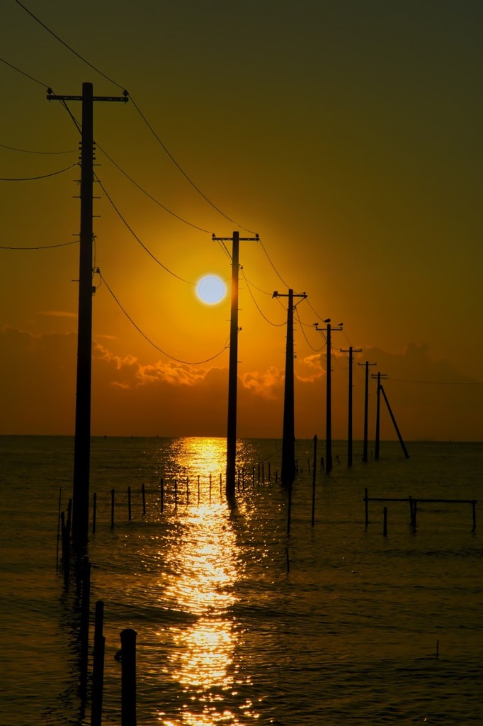 海に浮かぶ電柱