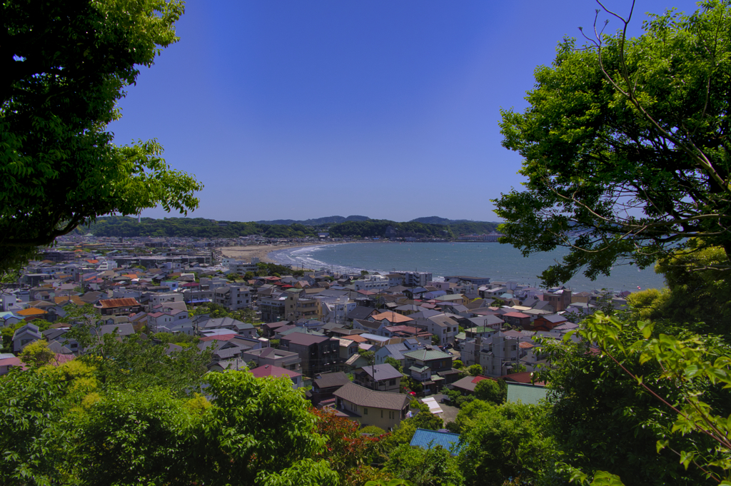 緑のフレームから覗く湘南の街並み