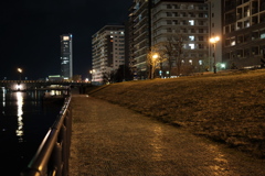 Grass land in the Night