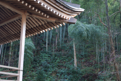 Side Temple Forest