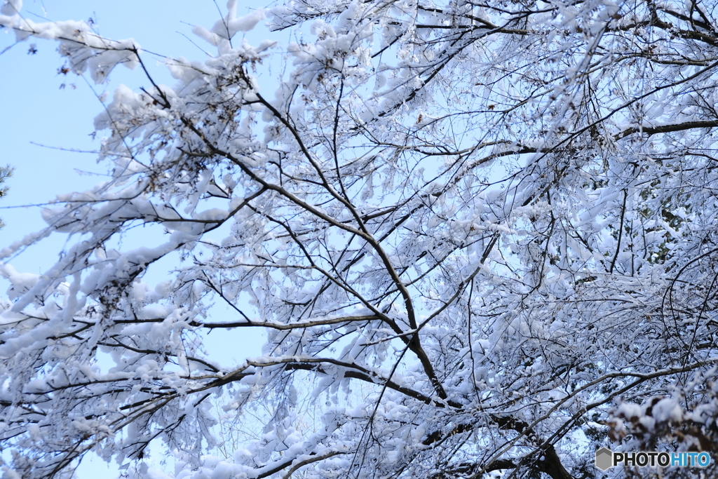 高山市へ