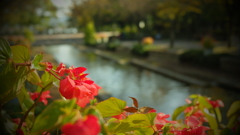 植物園にて