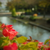 植物園にて