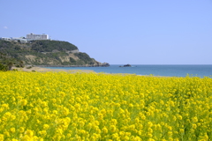 伊良湖岬散策
