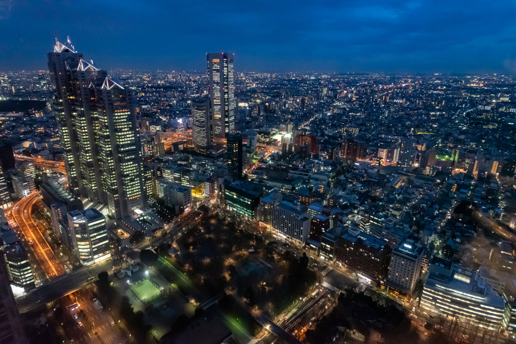 地上の星