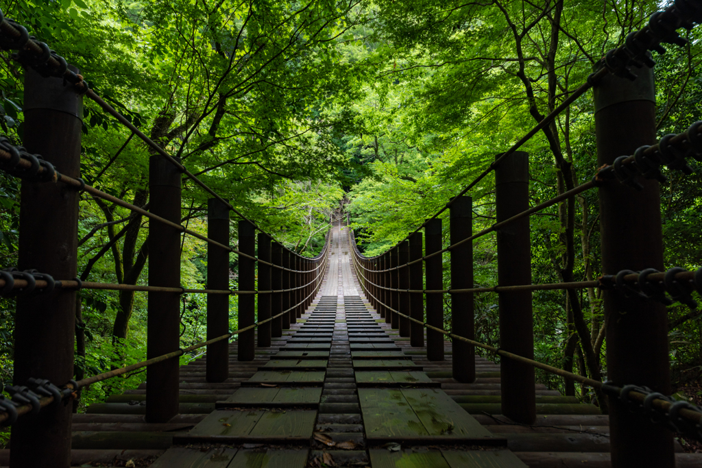 吊り橋